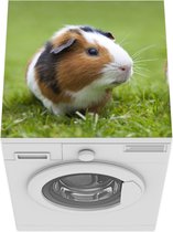 Wasmachine beschermer mat - Twee cavia's - Breedte 60 cm x hoogte 60 cm