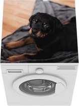 Wasmachine beschermer mat - Een Rottweiler puppy op een zwart kleed - Breedte 60 cm x hoogte 60 cm
