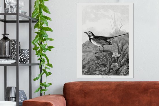 Tableau sur toile imprimé oiseau vintage bergeronnette blanche - noir et blanc - 60x80 cm - Décoration murale