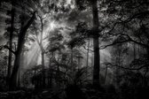Sanders & Sanders fotobehang bosrijk landschap grijs en zwart - 601029 - 3.6 x 2.7 m