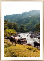 Poster Met Metaal Gouden Lijst - Rivier Ha Giang Poster