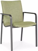 Anzio dining chair MRG Forest Green