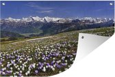 Tuinposters buiten Crocus weide boven de Bernese Alpen in Zwitserland - 90x60 cm - Tuindoek - Buitenposter