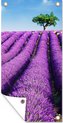 De lavendel-tuinposter los doek - 1:2 - 1-4