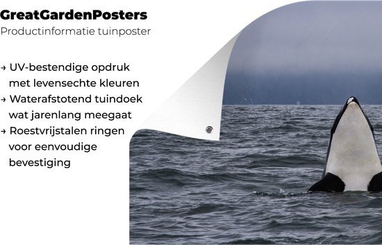 Poster Jardin orque au-dessus de l'eau 60x40 cm - petit - Toile de jardin / Toile d'extérieur / Peintures pour l'extérieur (décoration de jardin)