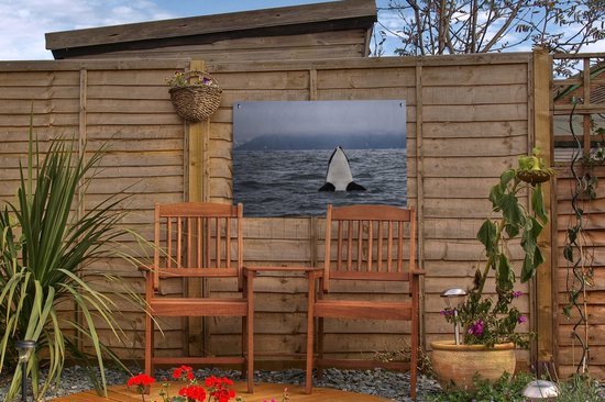 Poster Jardin orque au-dessus de l'eau 60x40 cm - petit - Toile de jardin / Toile d'extérieur / Peintures pour l'extérieur (décoration de jardin)