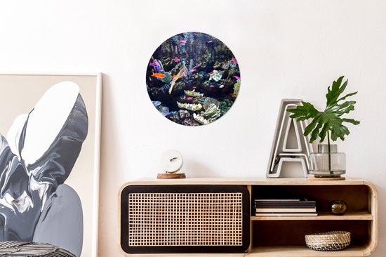 WallCircle - Wandcirkel ⌀ 30 - Kleurrijk aquarium - Ronde schilderijen woonkamer - Wandbord rond - Muurdecoratie cirkel - Kamer decoratie binnen - Wanddecoratie muurcirkel - Woonaccessoires