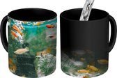 Magische Mok - Foto op Warmte Mokken - Koffiemok - Kleine visjes in een aquarium - Magic Mok - Beker - 350 ML - Theemok