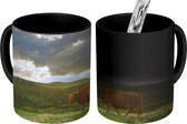 Magische Mok - Foto op Warmte Mok - Schotse Hooglander - Landschap - Koe - 350 ML - Uitdeelcadeautjes