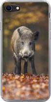 Geschikt voor iPhone 8 hoesje - Wild dier - Bos - Herfst - Siliconen Telefoonhoesje
