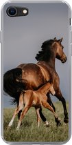 Geschikt voor iPhone 7 hoesje - Dieren - Paarden - Veulen - Siliconen Telefoonhoesje
