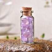 Bixorp Gems - Kristallen Flesje Edelstenen Lichte Amethist -  Prachtige Natuurlijke Lila Amethist in Kristallen Fles - 60mm