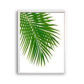 Schilderij  Tropisch palmboom blad links - gekleurd / Planten / Bladeren / 50x40cm