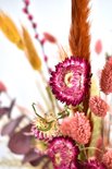 Close-up van een roze helichrysum bloem in een boeket droogbloemen.