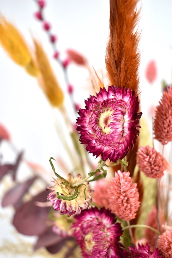 Close-up van een roze helichrysum bloem in een boeket droogbloemen.