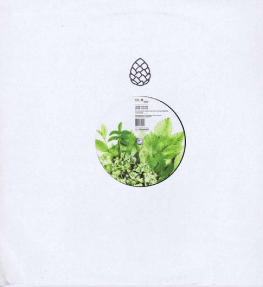 Jonas Kopp - Verde Acido