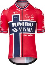 AGU Replica Noorwegen Champion Fietsshirt Team Jumbo-Visma - Geel - XS