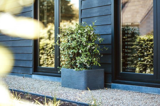 Capi Europe - Bloempot vierkant Smooth NL - 50x50 - Donkergrijs - Opening 50 - Bloempot voor binnen en buiten - KDG904 Capi Europe - Bloempot vierkant Smooth NL - 50x50 - Donkergrijs - Opening 50 - Bloempot voor binnen en buiten - KDG904