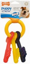 kauwspeelgoed Teething Keys tot 12 kg polyurethaan