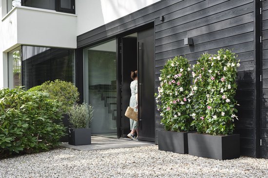 Entree van modern huis met zwarte plantenbakken met bloeiende planten.