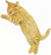 nagelvijl kattenvorm 12,5 x 5,5 cm geel