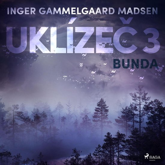 Uklízeč 3: Bunda - cover
