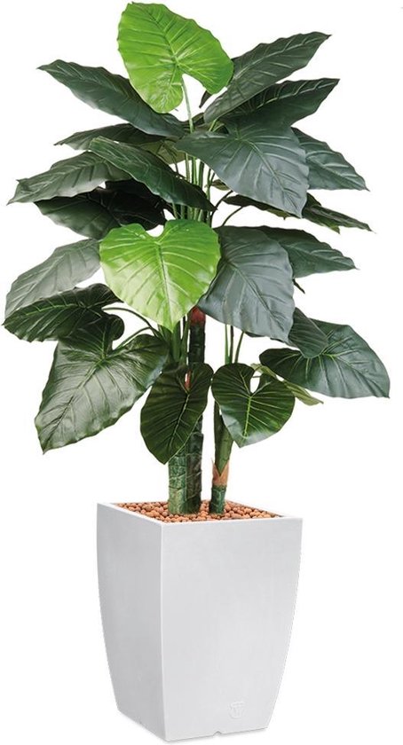 HTT - Kunstplant Philodendron in Genesis vierkant wit H150 cm