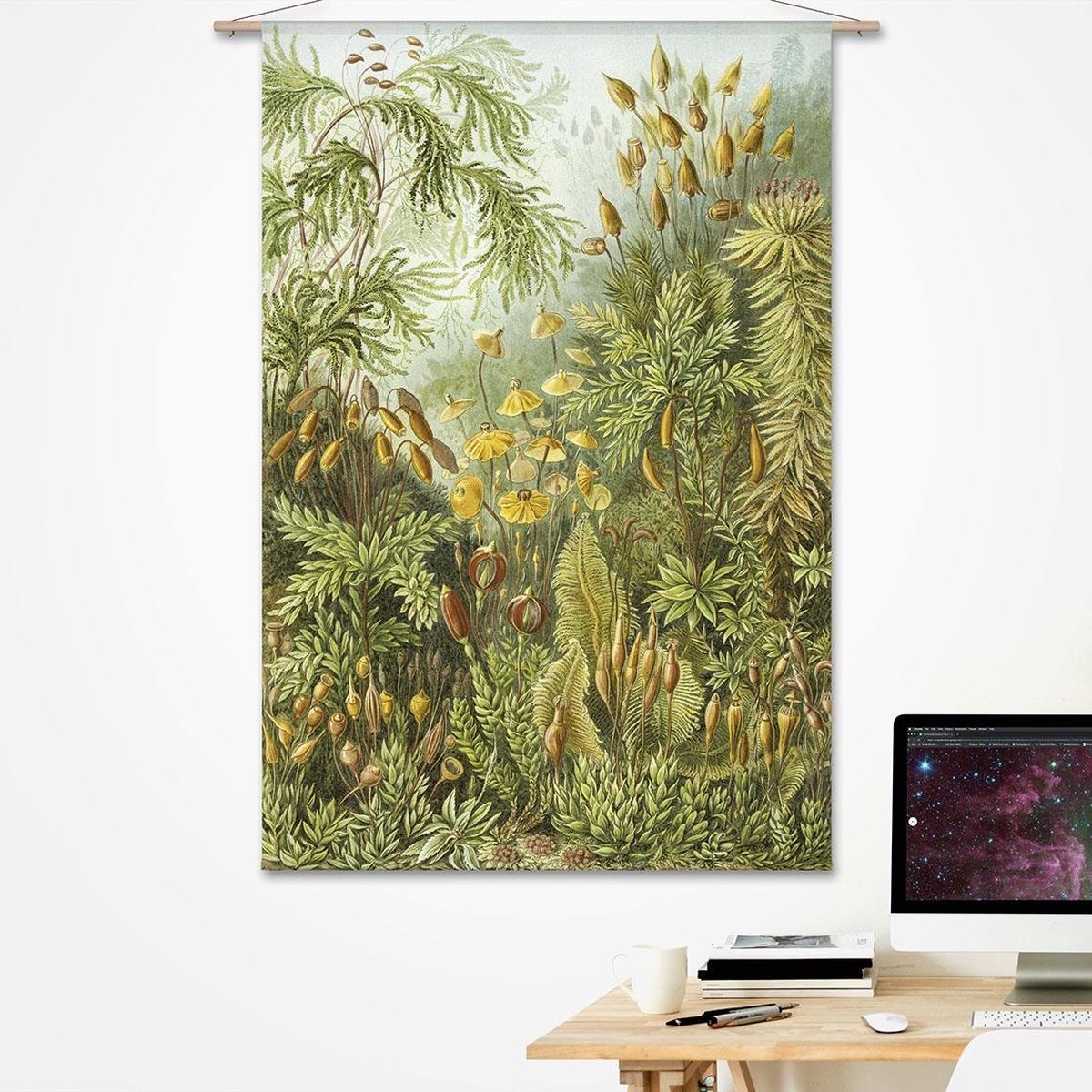 Wandkleed Ernst Haeckel - Haarmossen