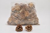 Noten, Fruit En Dennenappels - Pinus Pinea Mixed Bleached Poly/75 Pc