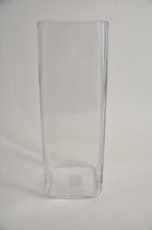 Glazen Vazen En Flessen - Glasvaas Square (h)42x(l)14x(l)14cm Cf