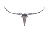 Stier | Decoratieve accessoire | Wandkapstok | 4 Haken | Zilver