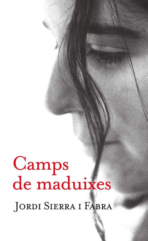 Gran Angular 1 - Camps de maduixes - cover