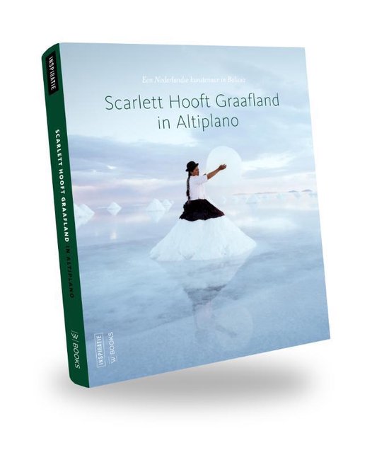 Cover van het boek 'Domestic Marble'