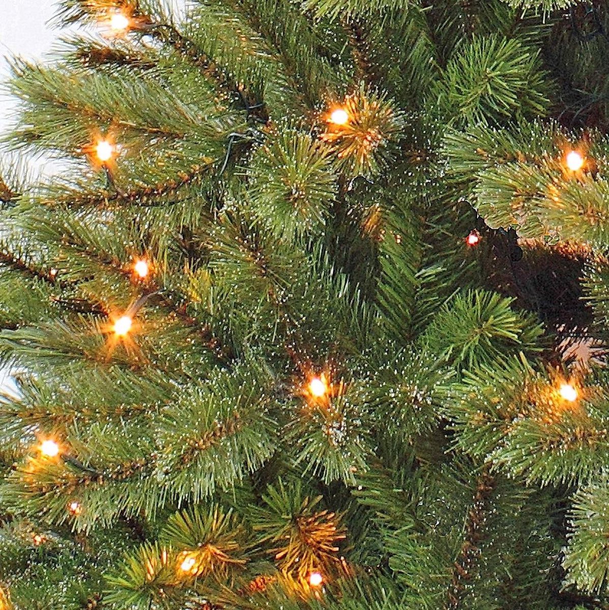 Verantwoordelijk persoon Geen Toegeven Triumph Tree Forest Frosted Pine Kunstkerstboom - 185 cm hoog - Met  energiezuinige LED... | bol.com