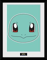 Pokemon: Squirtle Face 30 X 40 Collector Print