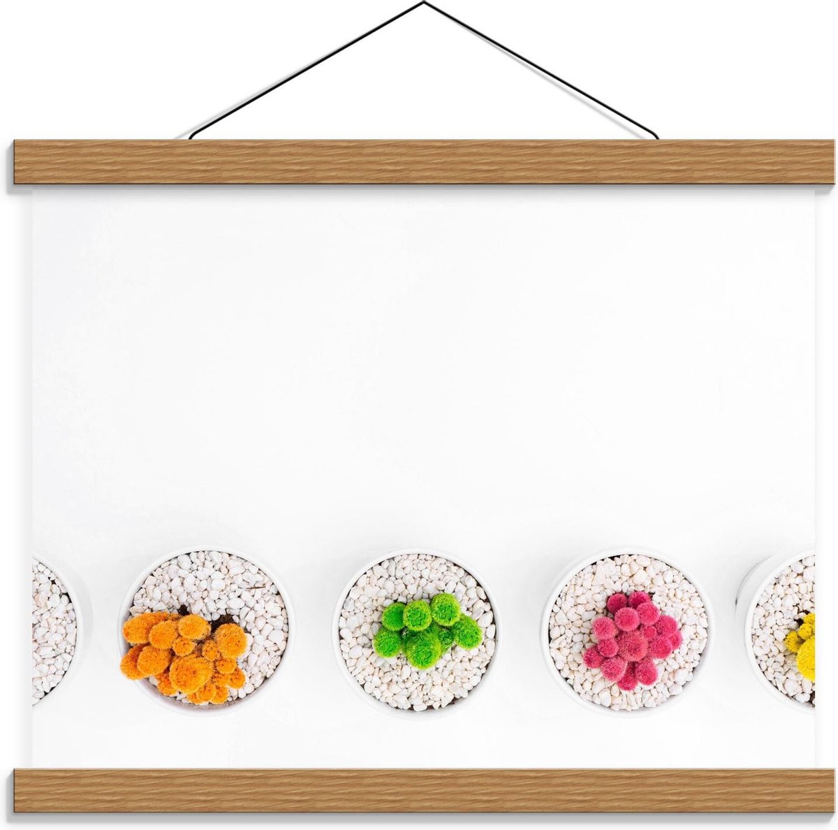 Schoolplaat – Gekleurde Cactuspotjes - 40x30cm Foto op Textielposter (Wanddecoratie op Sch