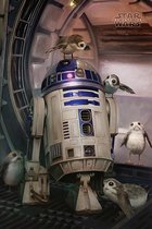 Star Wars The Last Jedi R2-D2 & Porgs - Maxi Poster