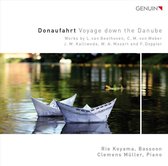 Voyage Down The Danube