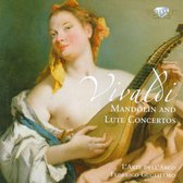 L'Arte dell'Arco, Federico Guglielmo - Vivaldi: Mandolin and Lute Concerti (CD)