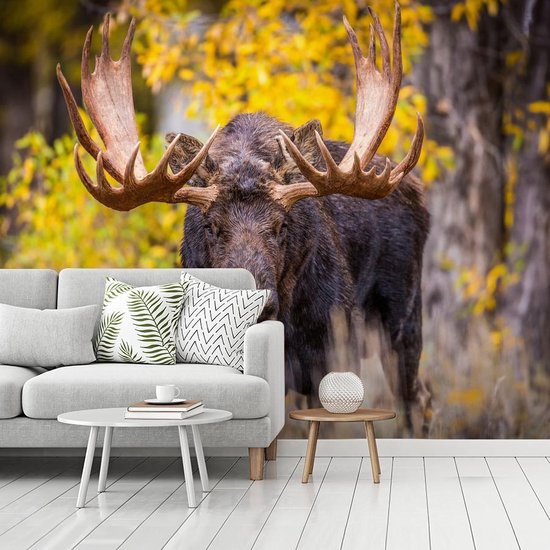 Papier peint - Papier peint photo peint - Orignal dans un paysage d'automne - Largeur 325 cm x hauteur 260 cm