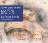 Cantatas Vol. 11: BWV 67 - 85 - 12