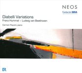 Piazzini - Diabelli Variations (2 CD)