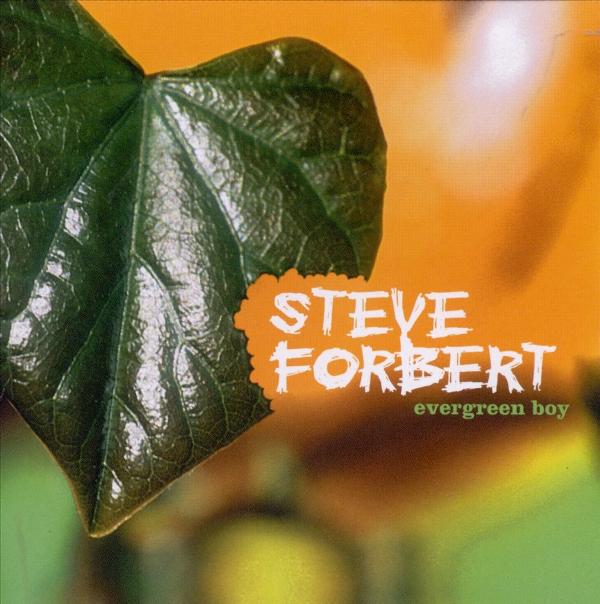Evergreen Boy