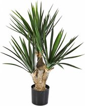 Areca Lutescens large in Urban Loft wit | Goudpalm