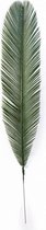 Calathea Medaillon in Elho Pure Soft Hoog wit | Pauwenplant