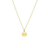 Zilveren ketting&hanger gold disc sterrenbeeld - Aquarius - Waterman