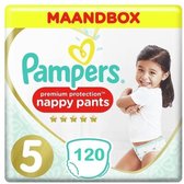 Pampers Premium Protection Pants Maat 5 - 120 Luierbroekjes Maandbox