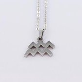 Sterrenbeeld / Horoscoop ketting - Zilver - Waterman