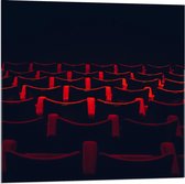 Acrylglas - Rode Stoelen in Theaterzaal - 80x80cm Foto op Acrylglas (Wanddecoratie op Acrylglas)