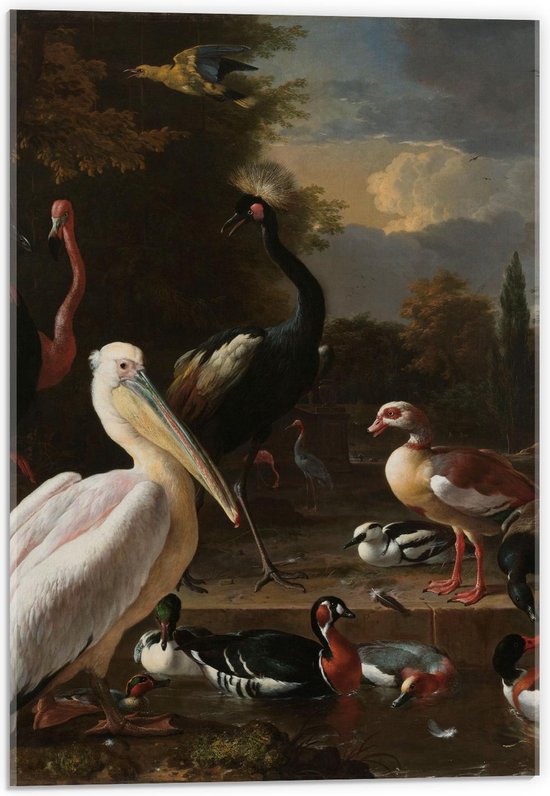 Acrylglas - Oude meesters - Het drijvend veertje, Melchior d'Hondecoeter, ca. 1680 - 40x60cm Foto op Acrylglas (Wanddecoratie op Acrylglas)